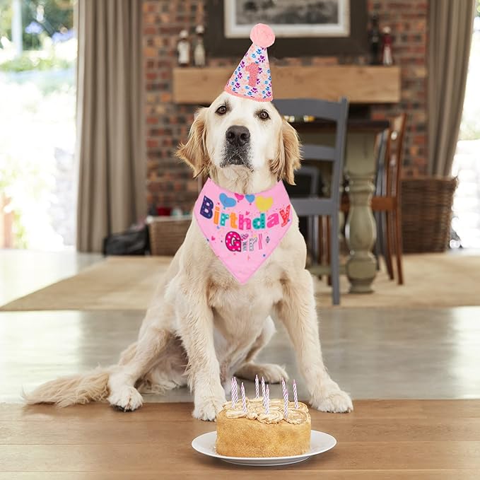 ADOGGYGO Dog Birthday Party Supplies