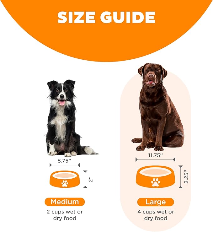 Outward Hound Fun Feeder Slo Bowl