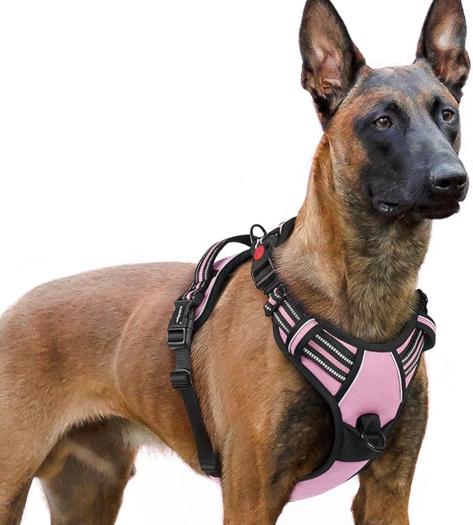 rabbitgoo Dog Harness for Large 3 Buckles,