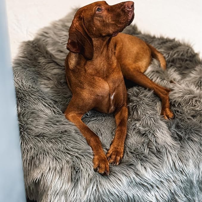 Waterproof Throw Blanket 60x80")