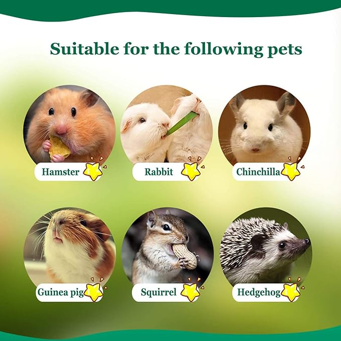 BWOGUE 500g Pet Snacks Sweet Bamboo Chew Toy