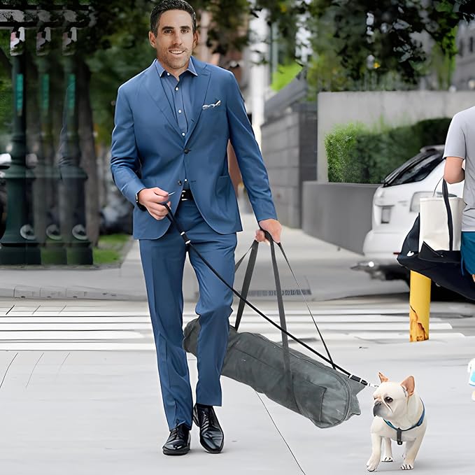 Collapsible Soft Dog Crate 25.6 x 17.7 Inch