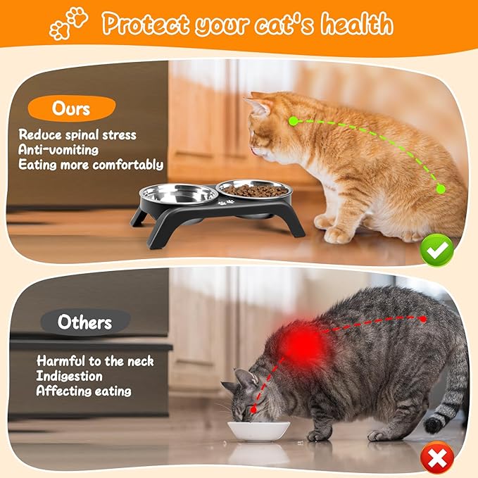 Elevated Cat Bowls 2 Thick