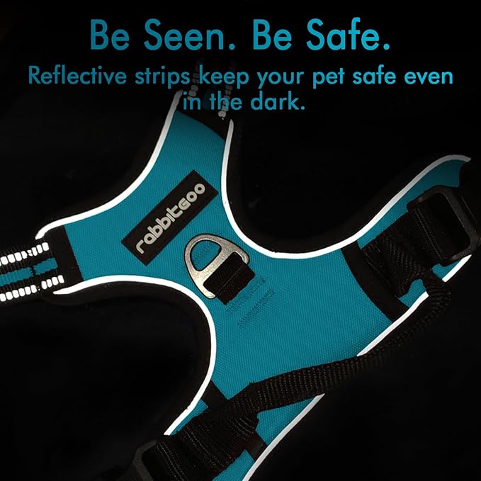 rabbitgoo Dog Harness 2 Leash