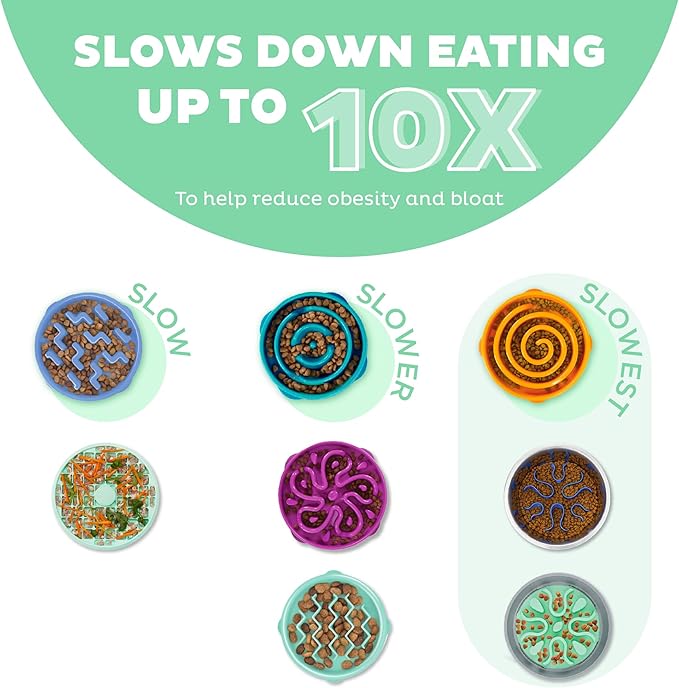 Outward Hound Fun Feeder Wobble Slo Bowl