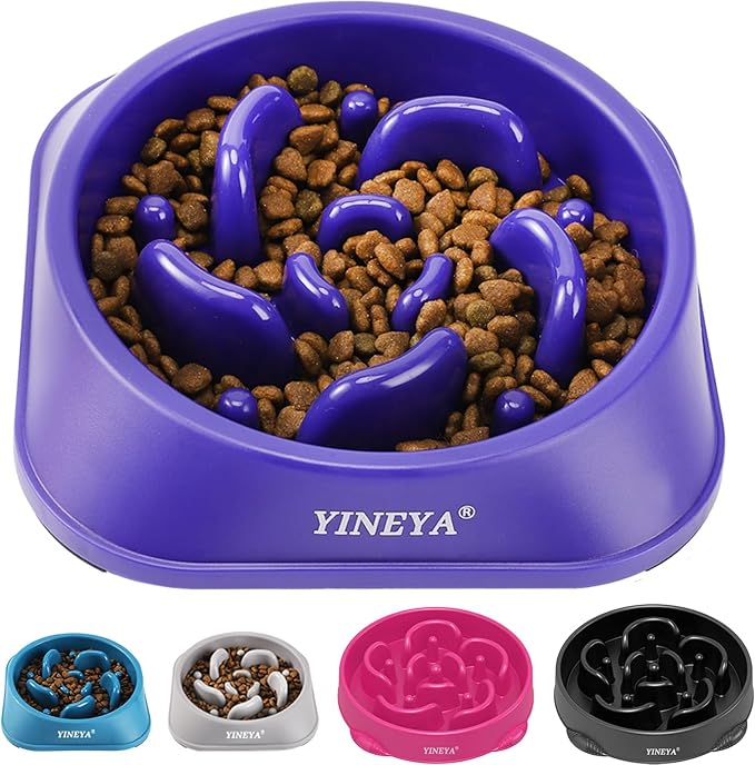 Slow Feeder Dog Bowls Large Breed