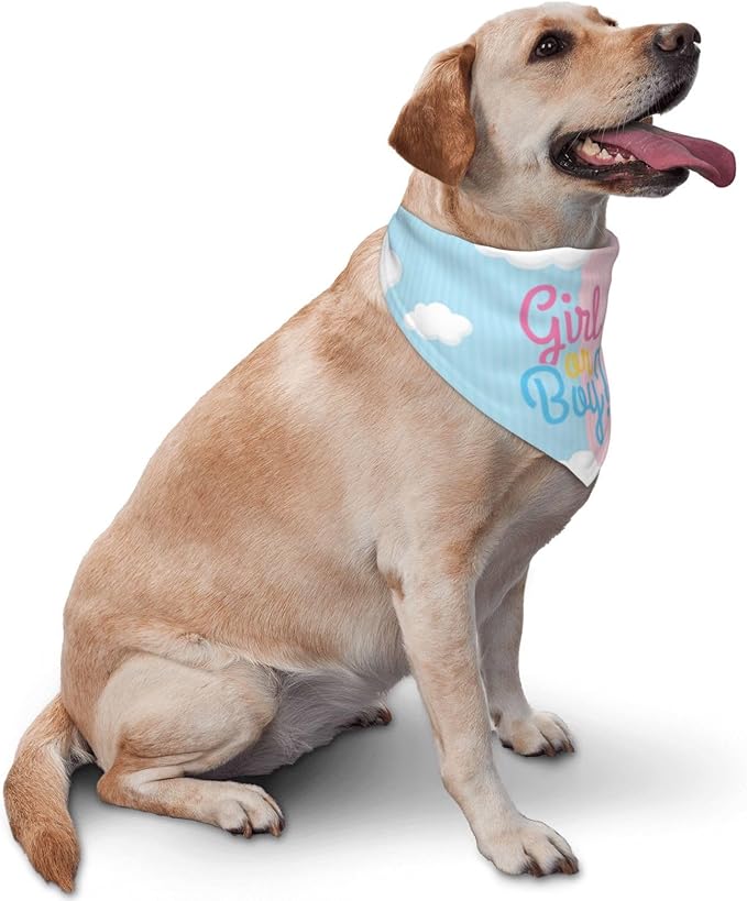 He Or She What Will It Be? Gender Reveal/Baby Announcement Dog Bandana,Pet Neckerchief for Pets Daily Wear Photo Prop Party Supplies (boy or Girl Clouds)