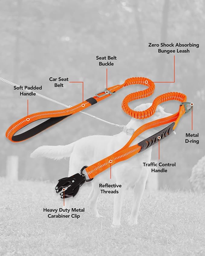 Joytale Tactical Dog Leash Heavy Duty 4-6FT Shock 2 Padded