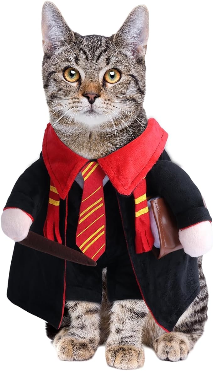 DELIFUR Dog Halloween Wizard Costume