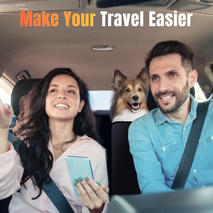 Hard Bottom Dog Carrier in Car