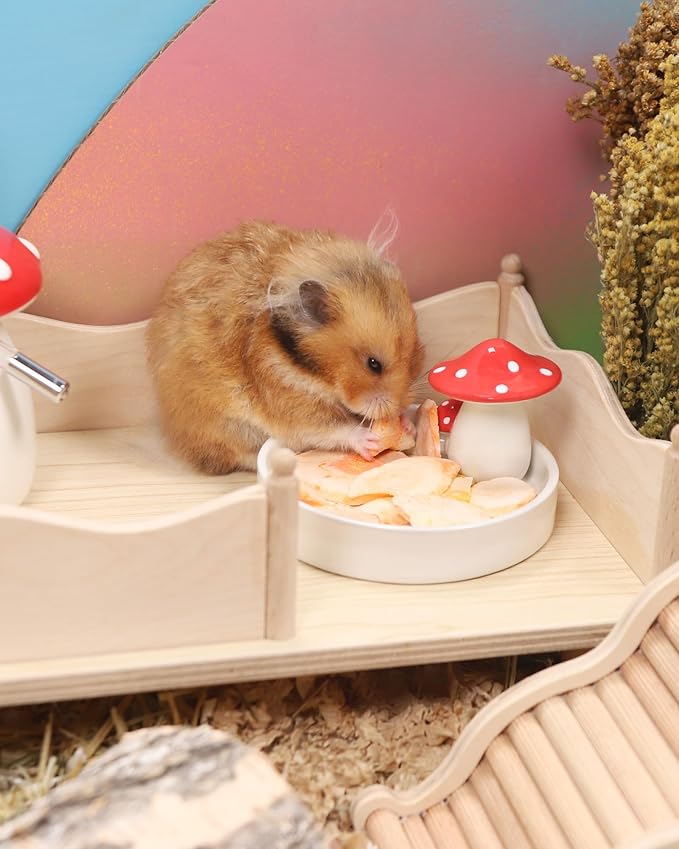 Niteangel Hamster Snack & Treats Toy