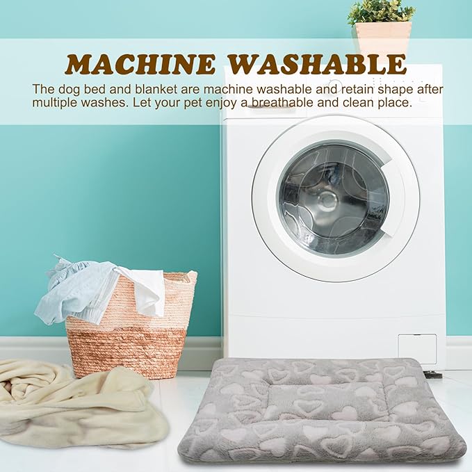 Cat Dog Bed Mat & Blanket