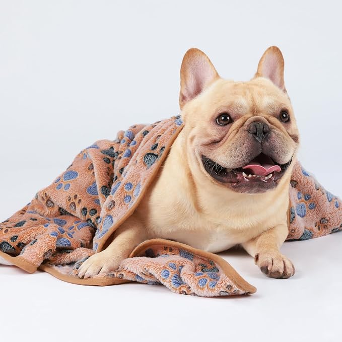 1 Pack 3 Blankets Super Soft Fluffy Premium Medium(30x20 inch)