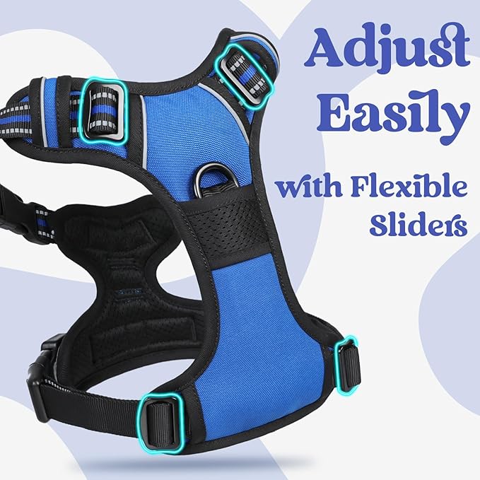 rabbitgoo Dog Harness for Large 3 Buckles,