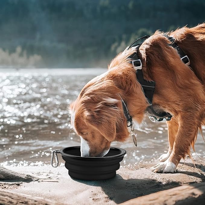 COOYOO Collapsible Dog Bowl 2 Pack 2 Carabiners