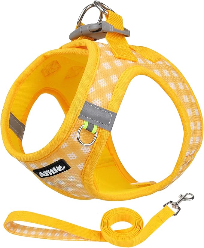 AIITLE Adjustable Dog Harness and Leash Set