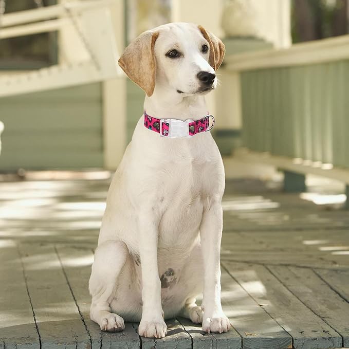 Floral Print Puppy Dog Collar for Small Medium Large Dogs Collars with Quick Release Buckle for Girls Female Dog Soft Nylon Comfortable Durable Pet Collar (NO4