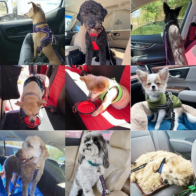 SlowTon Dog Car Seat Belt 1 Pack)