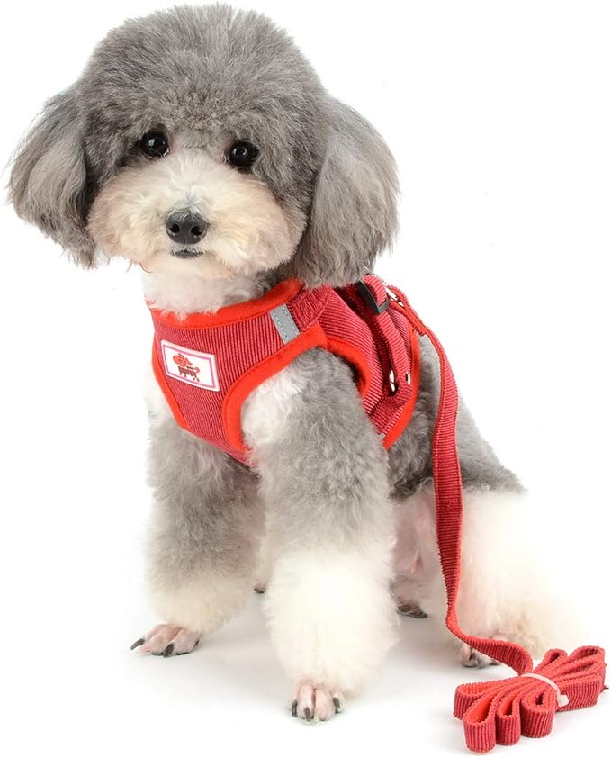 Zunea Small Dog Harness and Leash Set No