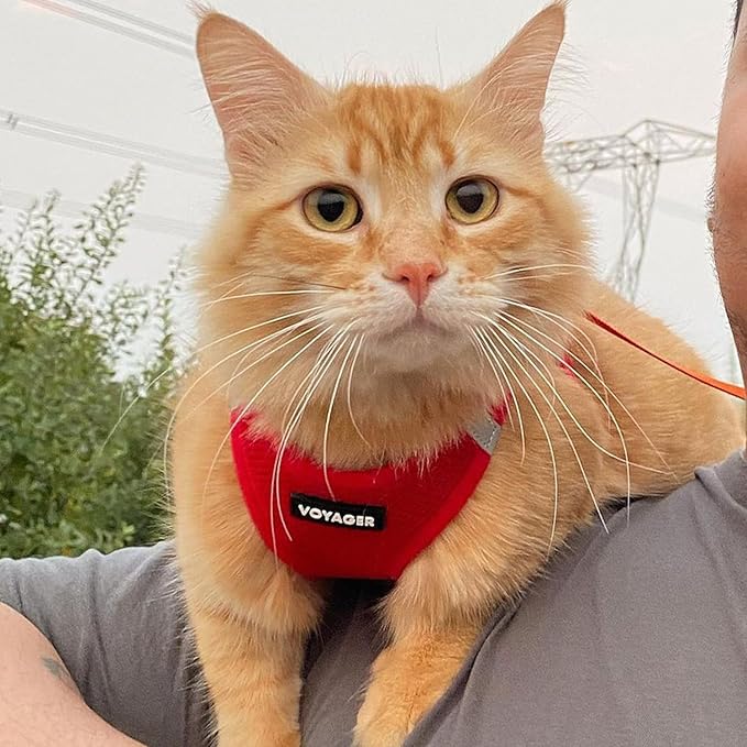 Voyager Step-in Air Dog Harness