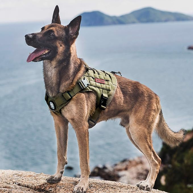 OneTigris Dog Harness