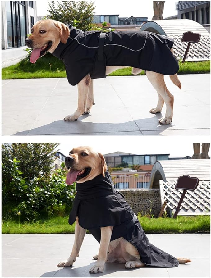 Dog Raincoat