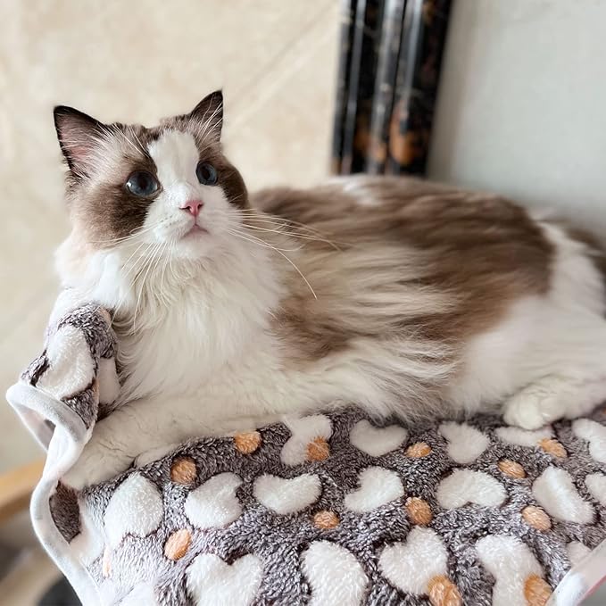 1 Pack 3 Puppy Blankets Super Soft Warm Sleep Mat Grey Cute Print Blanket Fluffy Fleece Pet Blanket Flannel Throw Dog Blankets for Small Dogs Puppy Dogs Fluffy Cats Love-Small(23"x15")