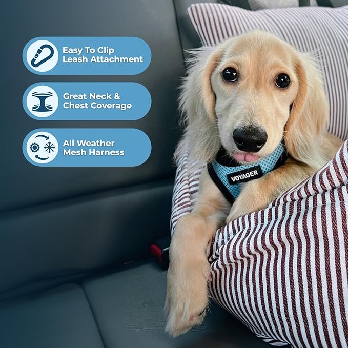 Voyager Step-in Air Dog Harness 16-18")