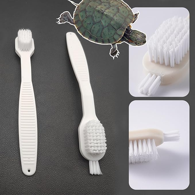 4 PCS Turtle Shell Brush with Suction Cup for Tank