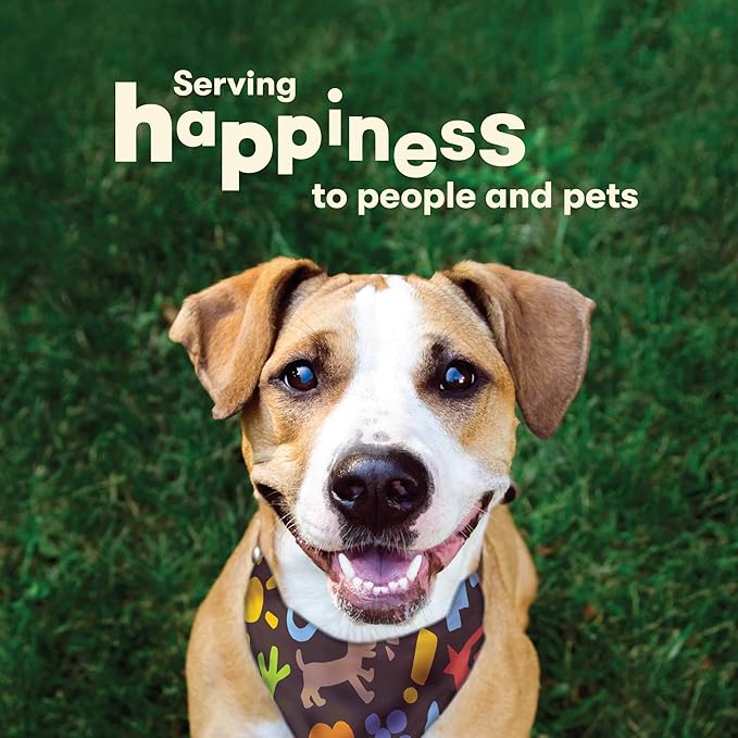 Pet 'n Shape Beef Bone Dog Treats 2 Count