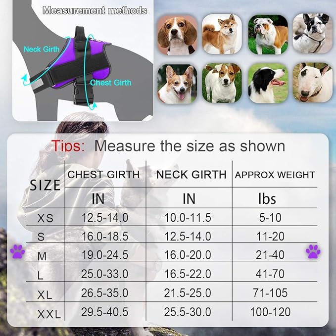 Bolux Dog Harness