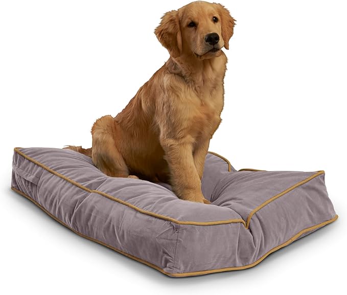 Buster Reversible Rectangle Pillow Style Dog Bed (36 x 24 in.)