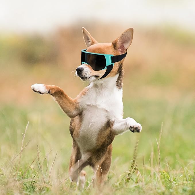 ENJOYING Dog Sunglasses Small Dog Goggles Anti-UV Doggy Glasses for Small Dogs Big Cats Impact/Wind/Dust/Fog Proof Puppy Eye Protection