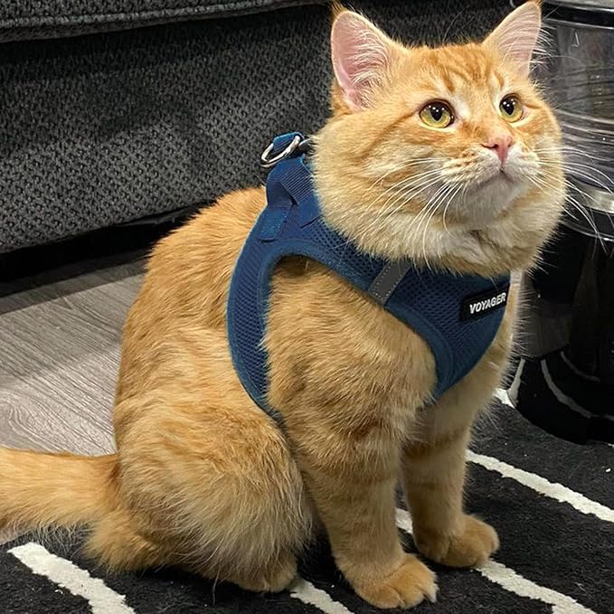 Voyager Step-in Air Dog Harness