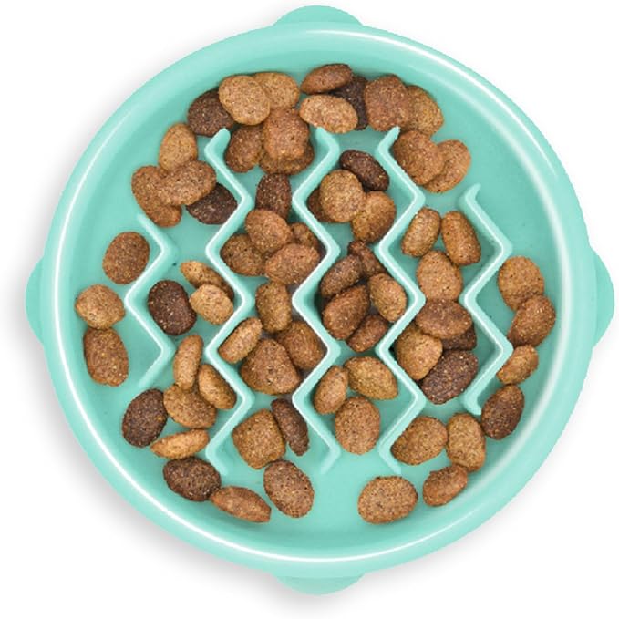 Outward Hound Fun Feeder Slo Bowl Slow Pet