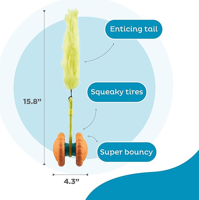 Outward Hound Tail Spinner Squeaky Dog Chase Toy