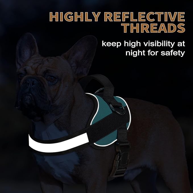 Haapaw Essential Dog Harness 3 Leash