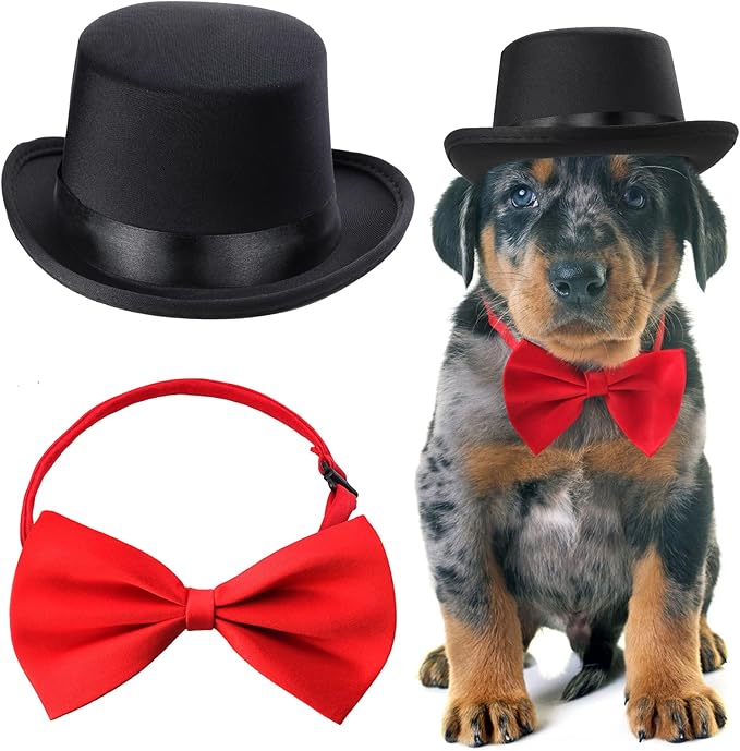 Yewong 2 Pieces Pet Formal Accessories Set