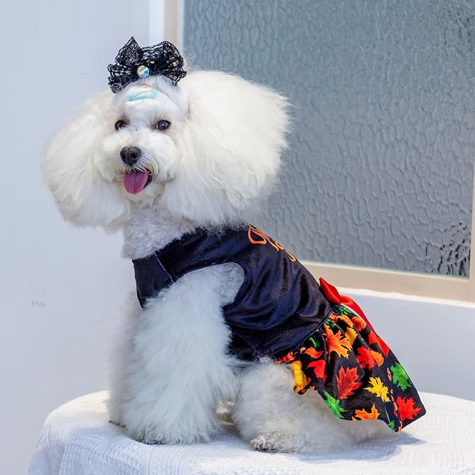 CuteBone Dog Dresses Velvet Holiday Small Dogs Clothes CVA26XXS-D