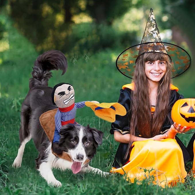 Funny Cowboy Rider Dog Costume