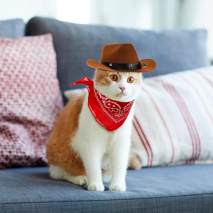 4 Pack Pet Cowboy Costume Accessories Set 2 Pcs 2 Pcs