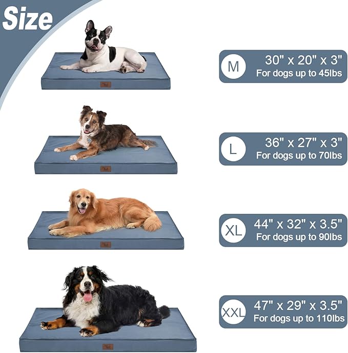 Medium Dog Bed for Medium/Small Dogs