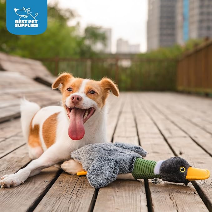 Best Pet Supplies Interactive Mallard Mates Dog Toy with Crinkle and Squeaky Enrichment for Small and Medium Breed Puppies or Dogs