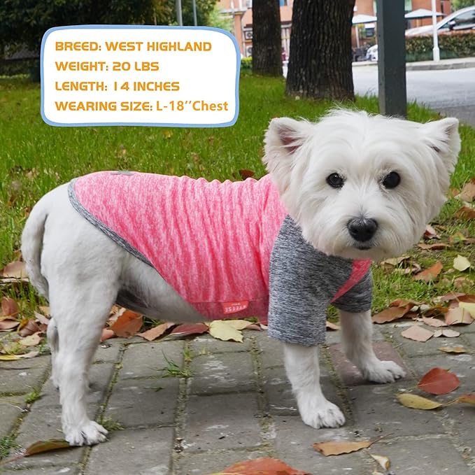 KYEESE 2 Pack Dog Shirts Raglan Sleeve Quick Dry Lightweight Stretchy Protects Against Foxtails Dog T-Shirts with Reflective Label Puppy Shirts for Small Dogs Sun Protection