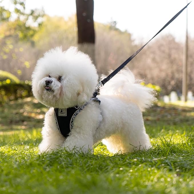 Dog Harness and Leash Set