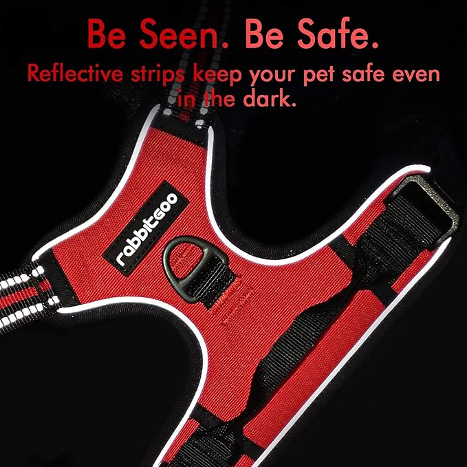rabbitgoo Dog Harness 2 Leash
