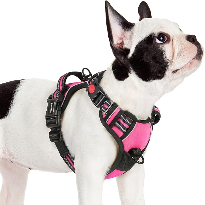 rabbitgoo Dog Harness Small Sized 3 Buckles,