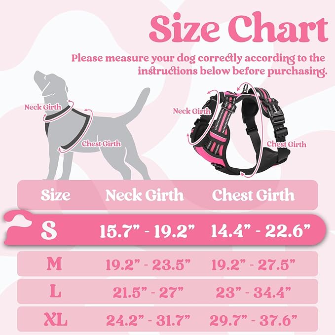 rabbitgoo Dog Harness Small Sized 3 Buckles,