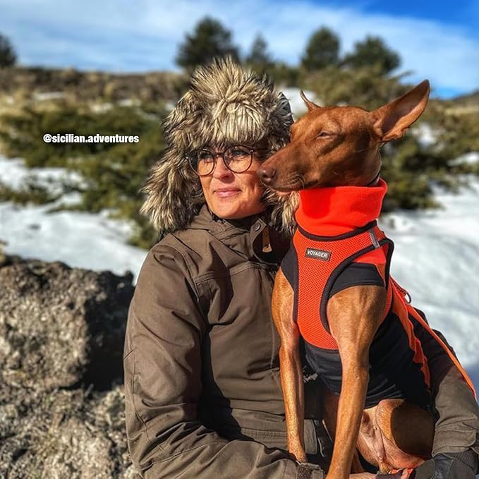 Voyager Step-in Air Dog Harness