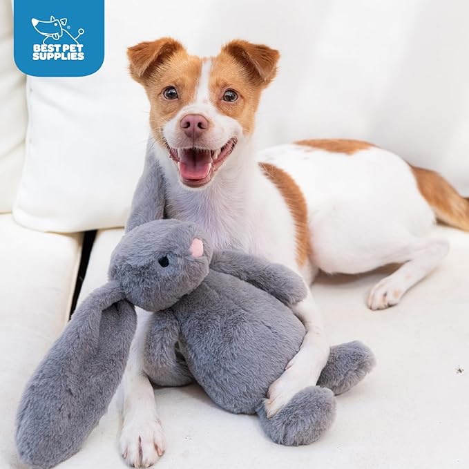 Best Pet Supplies Interactive Bunny Buddy Dog Toy with Crinkle and Squeaky Enrichment for Small and Medium Breed Puppies or Dogs